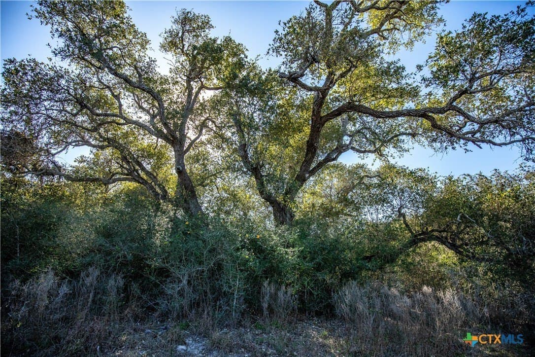 51.81 acres in Aransas County - photo 43