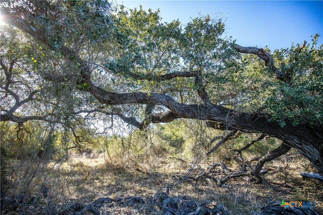 51.81 acres in Aransas County - photo 20