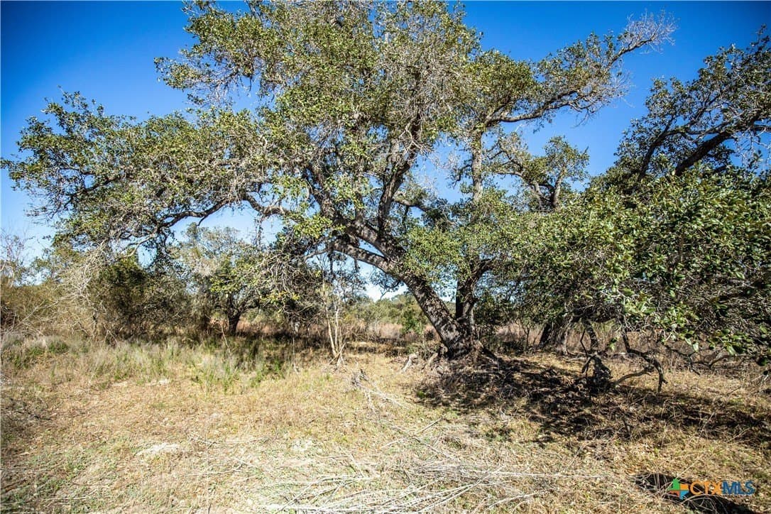 51.81 acres in Aransas County - photo 38