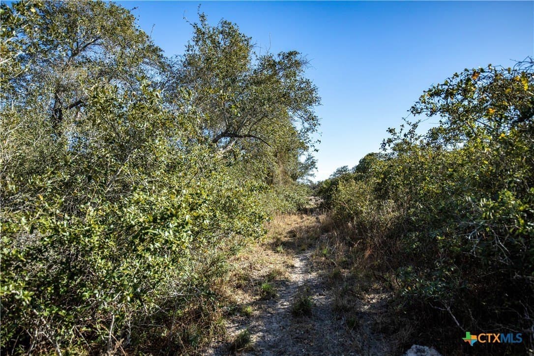51.81 acres in Aransas County - photo 41