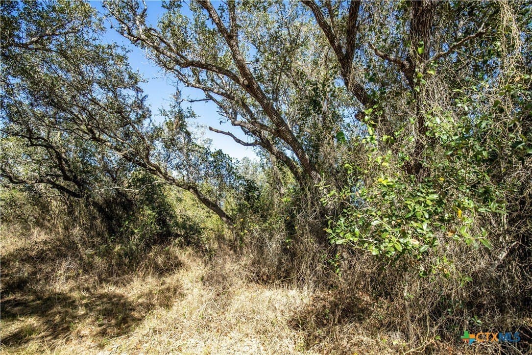 51.81 acres in Aransas County - photo 34