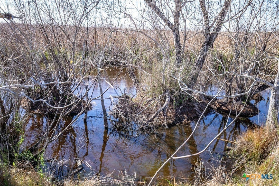 51.81 acres in Aransas County - photo 19