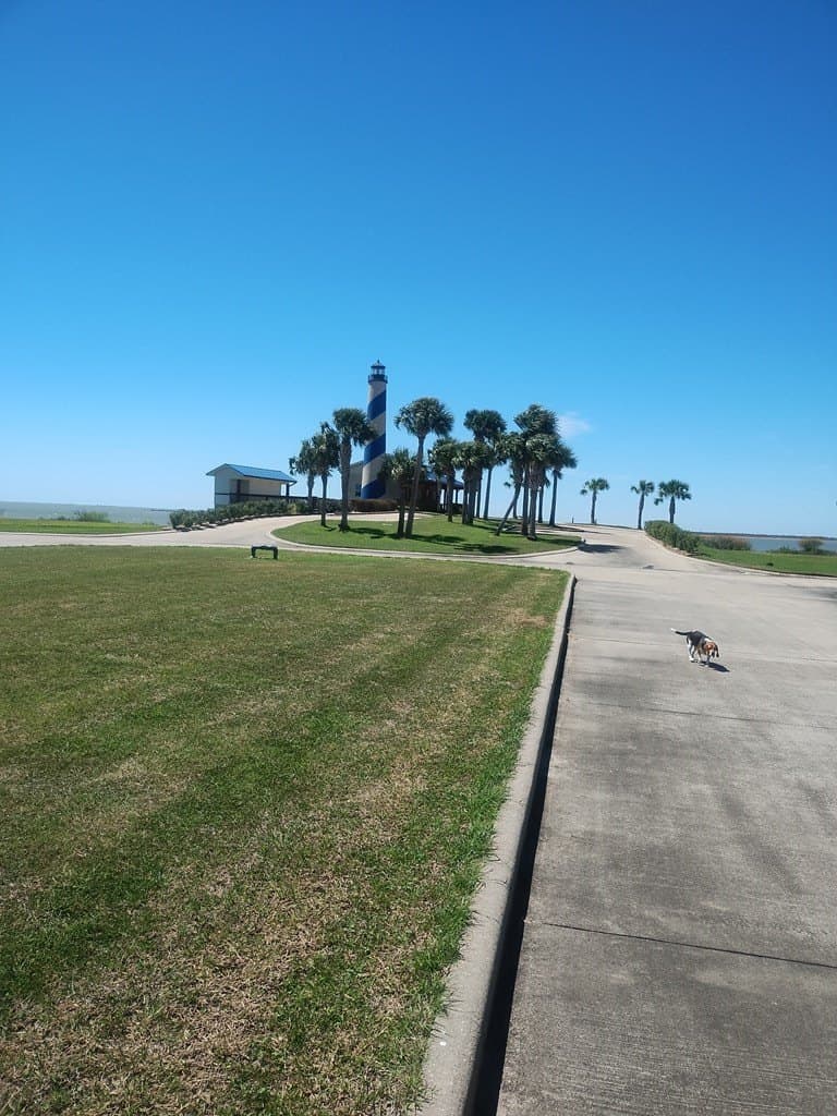 0.22 acres in Palacios Area County gallery image 4