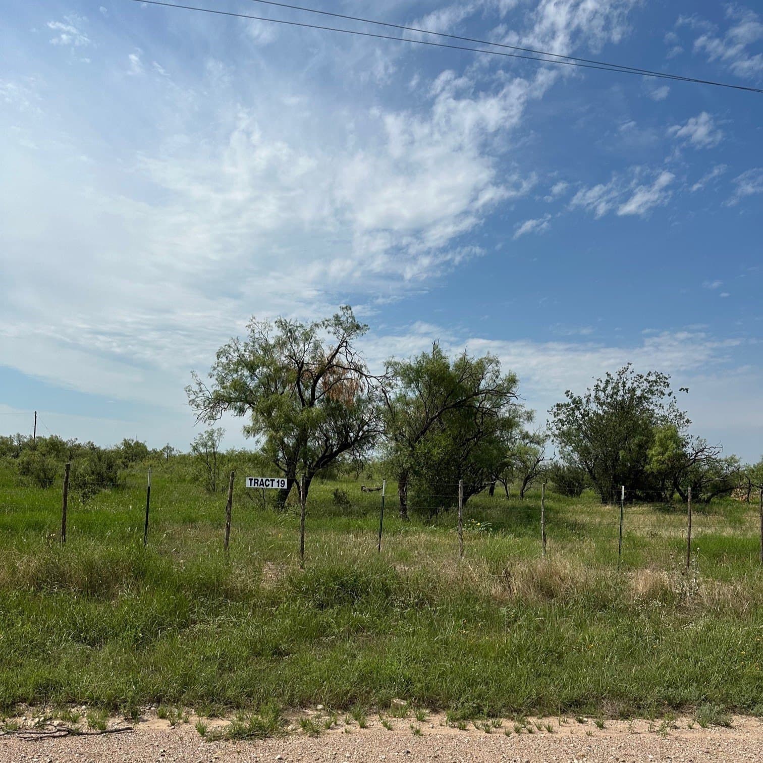 11 acres in Shackelford County gallery image 3