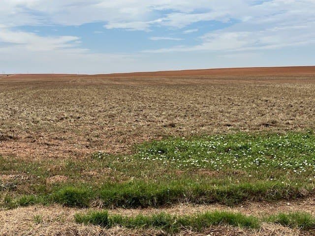 157.27 acres in Fisher County gallery image 4