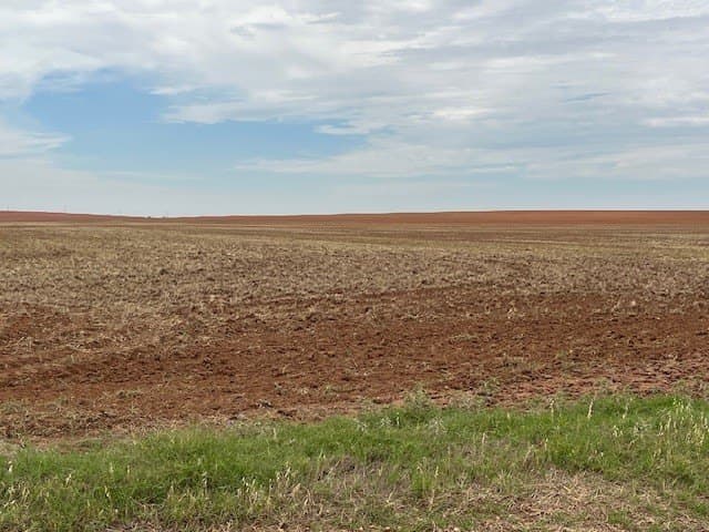 157.27 acres in Fisher County gallery image 3