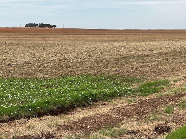 157.27 acres in Fisher County featured view