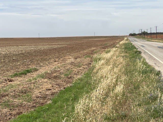 157.27 acres in Fisher County gallery image 2