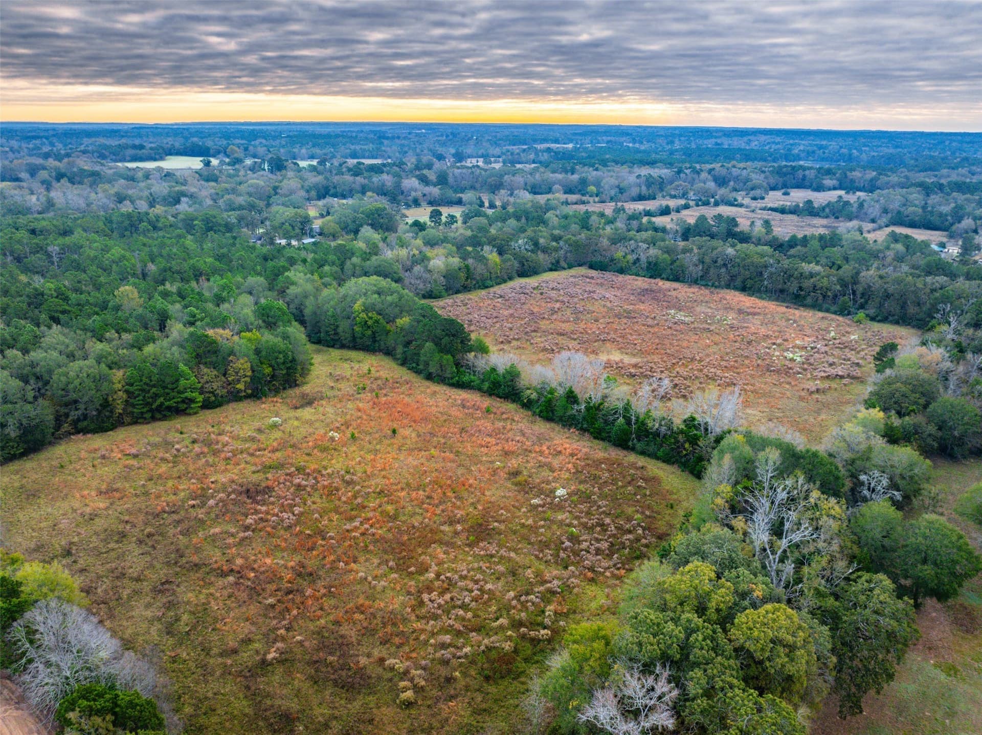 29.73 acres in Anderson County - photo 18