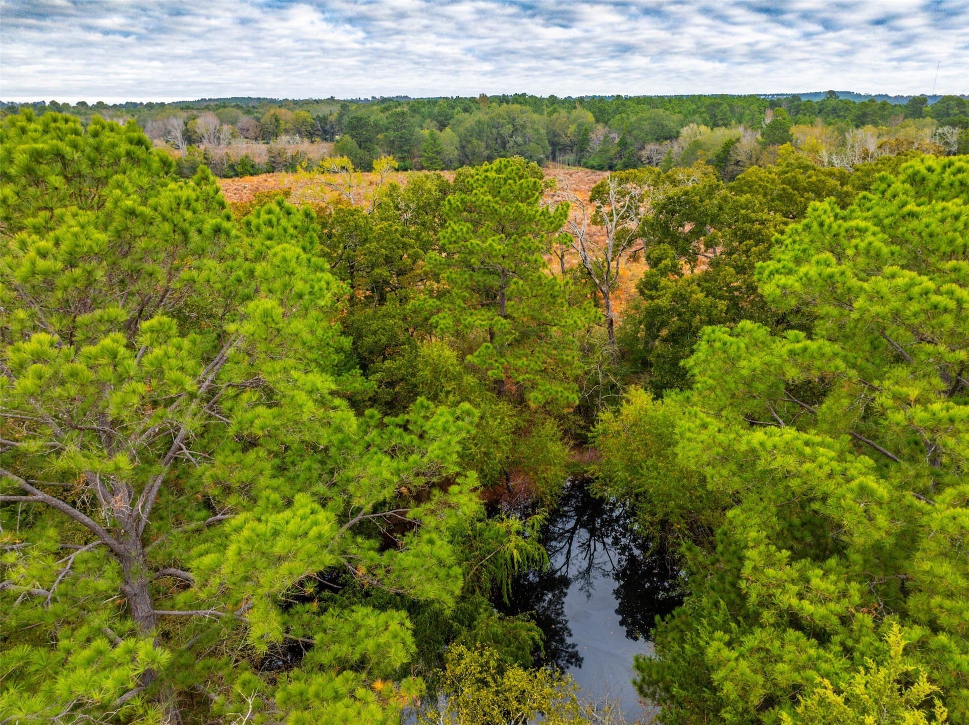29.73 acres in Anderson County - photo 9
