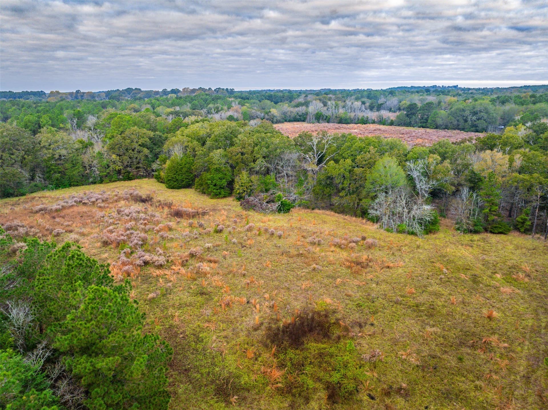 29.73 acres in Anderson County - photo 13