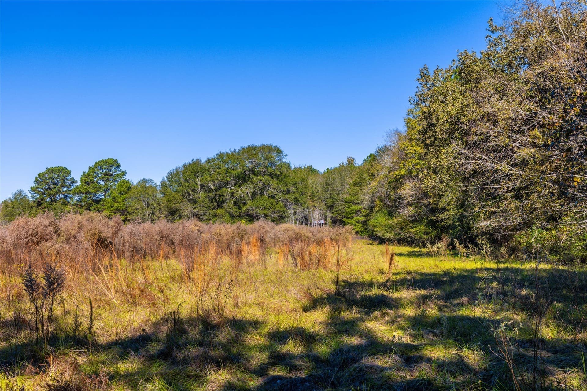 29.73 acres in Anderson County - photo 23