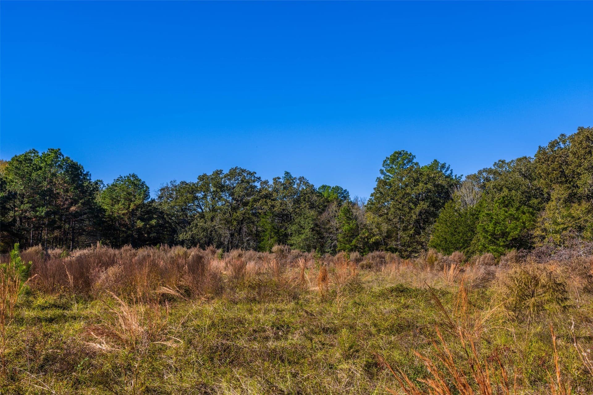 29.73 acres in Anderson County - photo 22