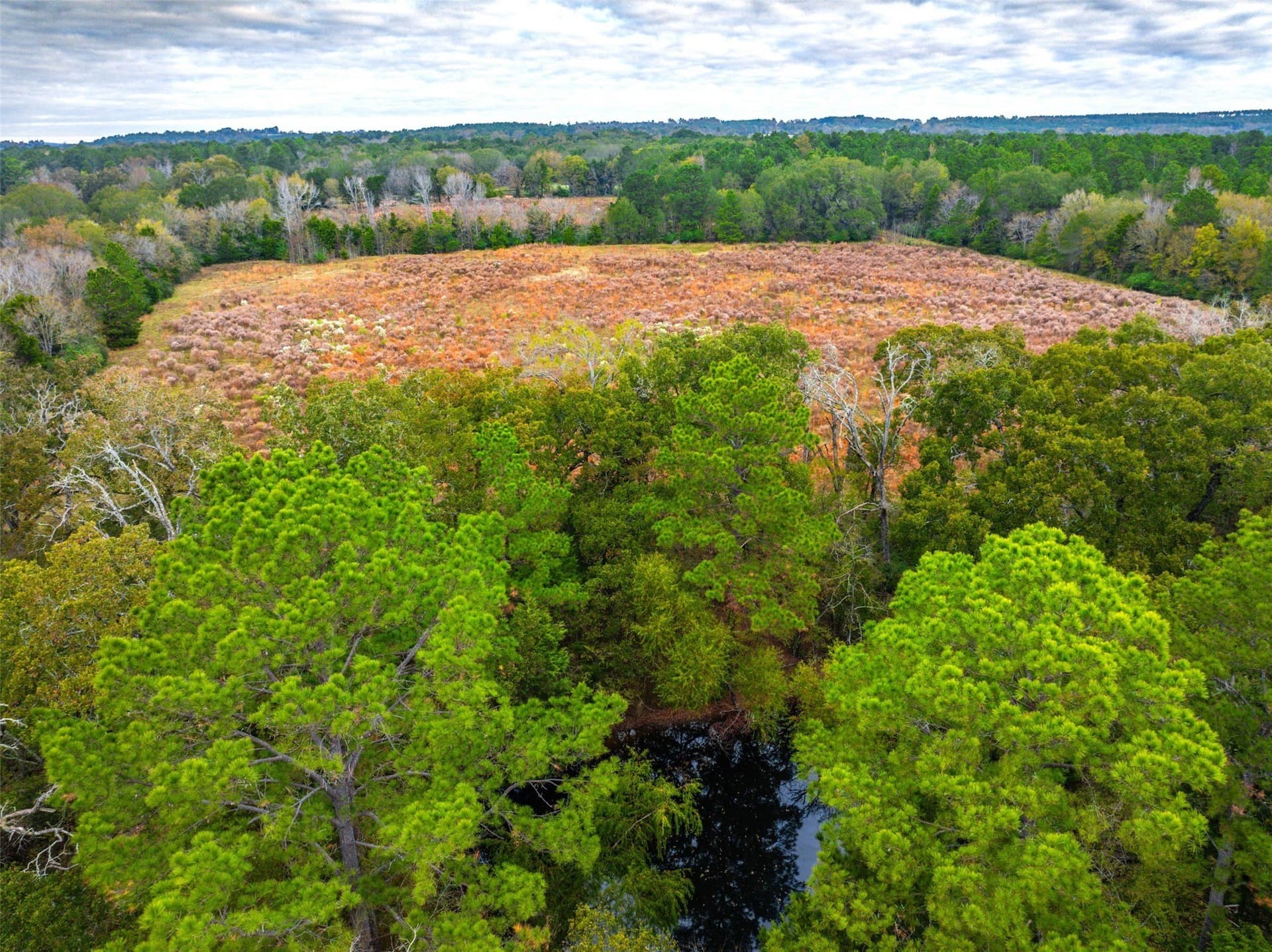29.73 acres in Anderson County