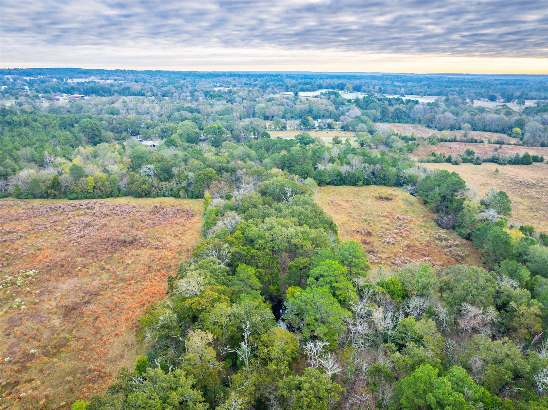 29.73 acres in Anderson County - photo 19