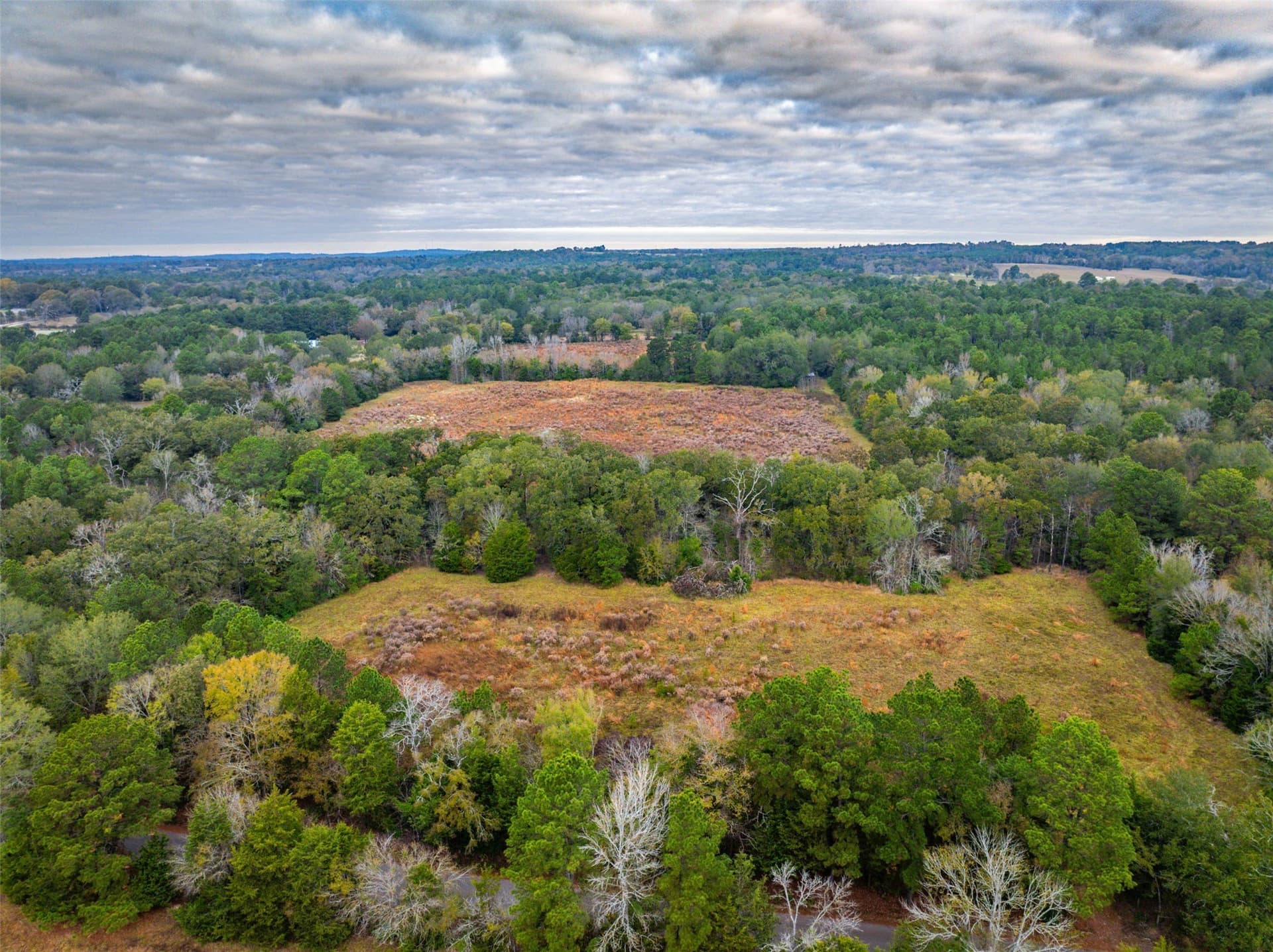 29.73 acres in Anderson County - photo 2