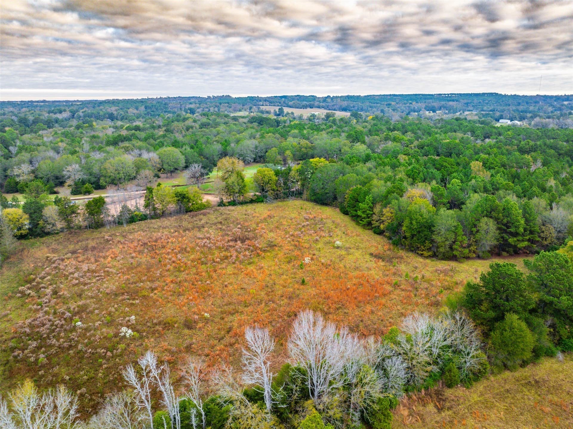 29.73 acres in Anderson County - photo 15