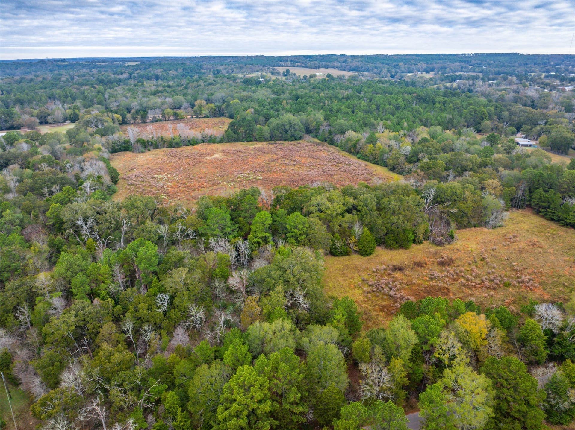 29.73 acres in Anderson County - photo 12