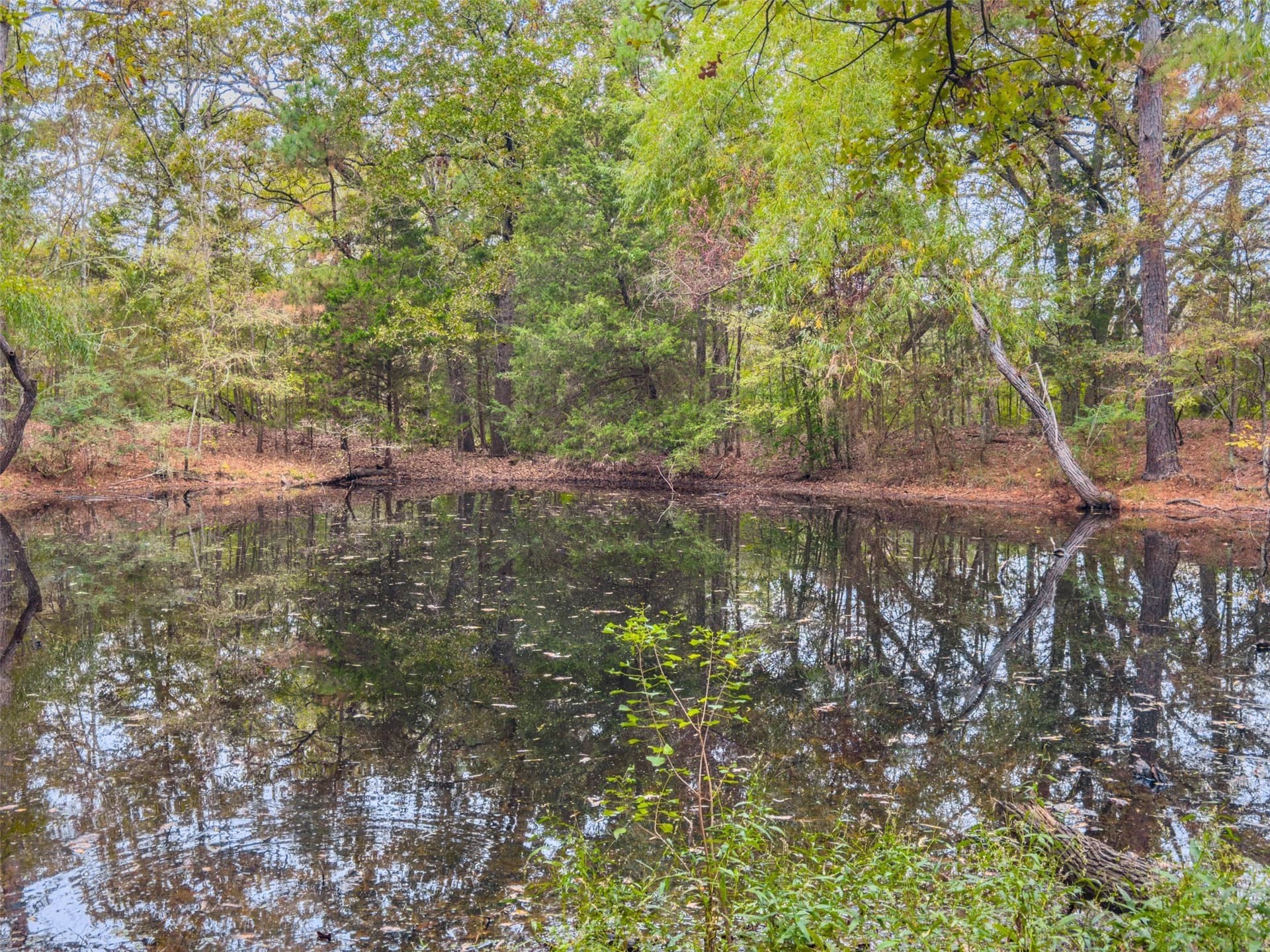 29.73 acres in Anderson County - photo 7