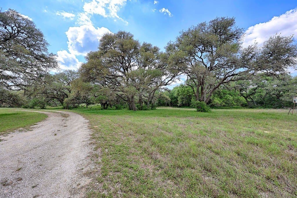 190.97 acres in Lavaca County gallery image 4