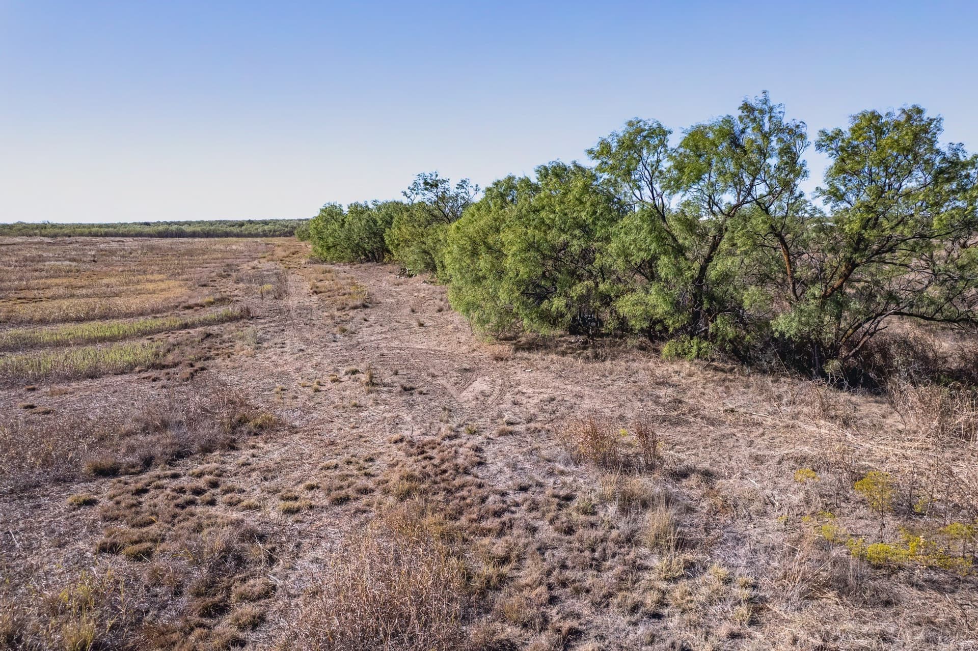 50.63 acres in Coleman County - photo 22