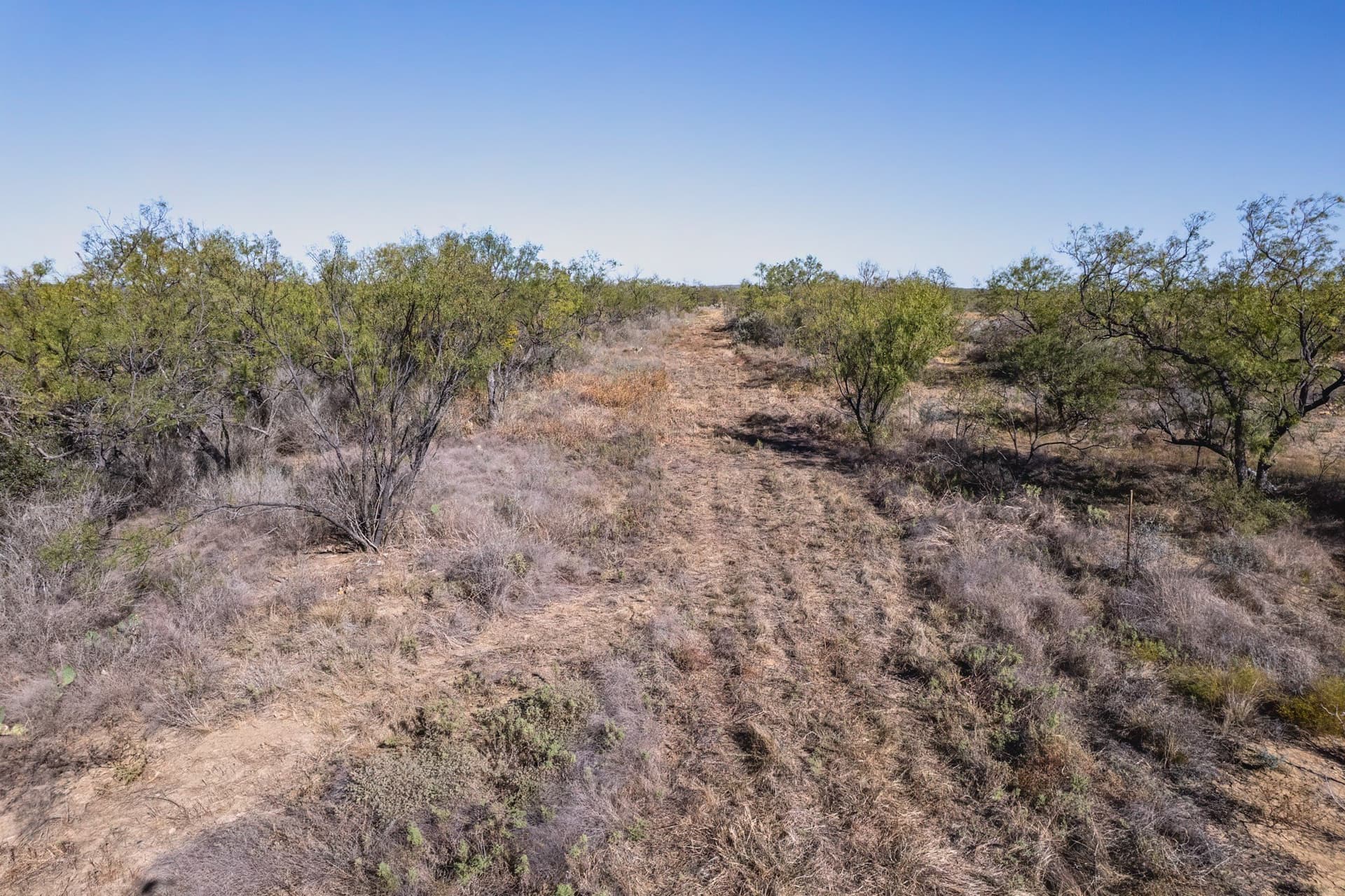 50.63 acres in Coleman County - photo 29