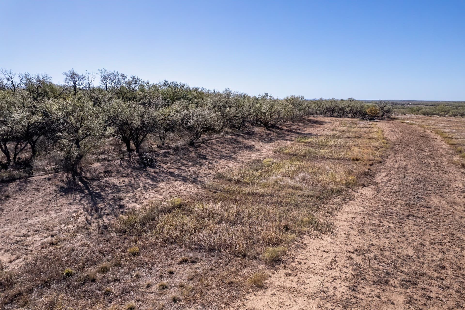50.63 acres in Coleman County - photo 31