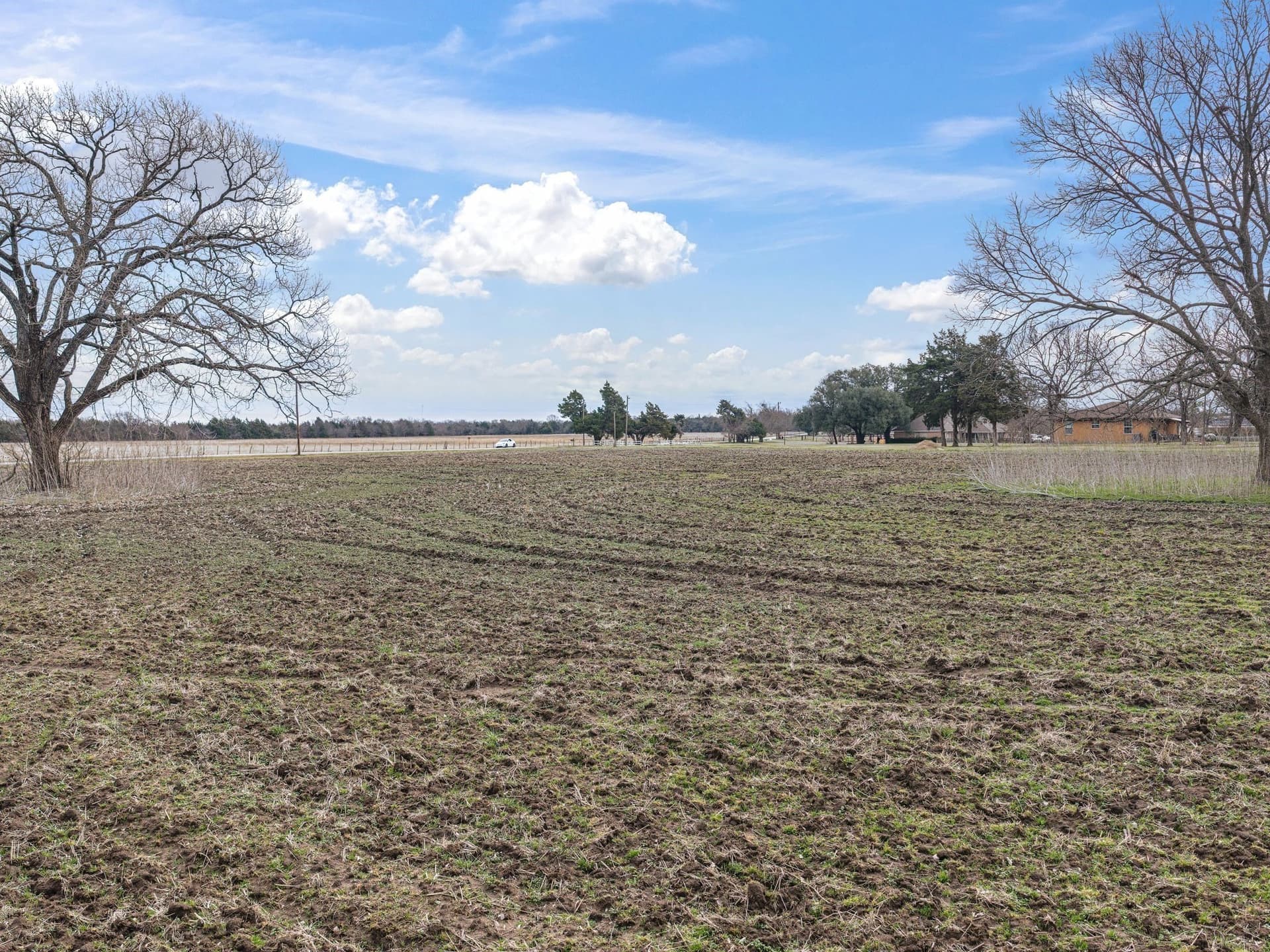 2 acres in Ellis County - photo 6