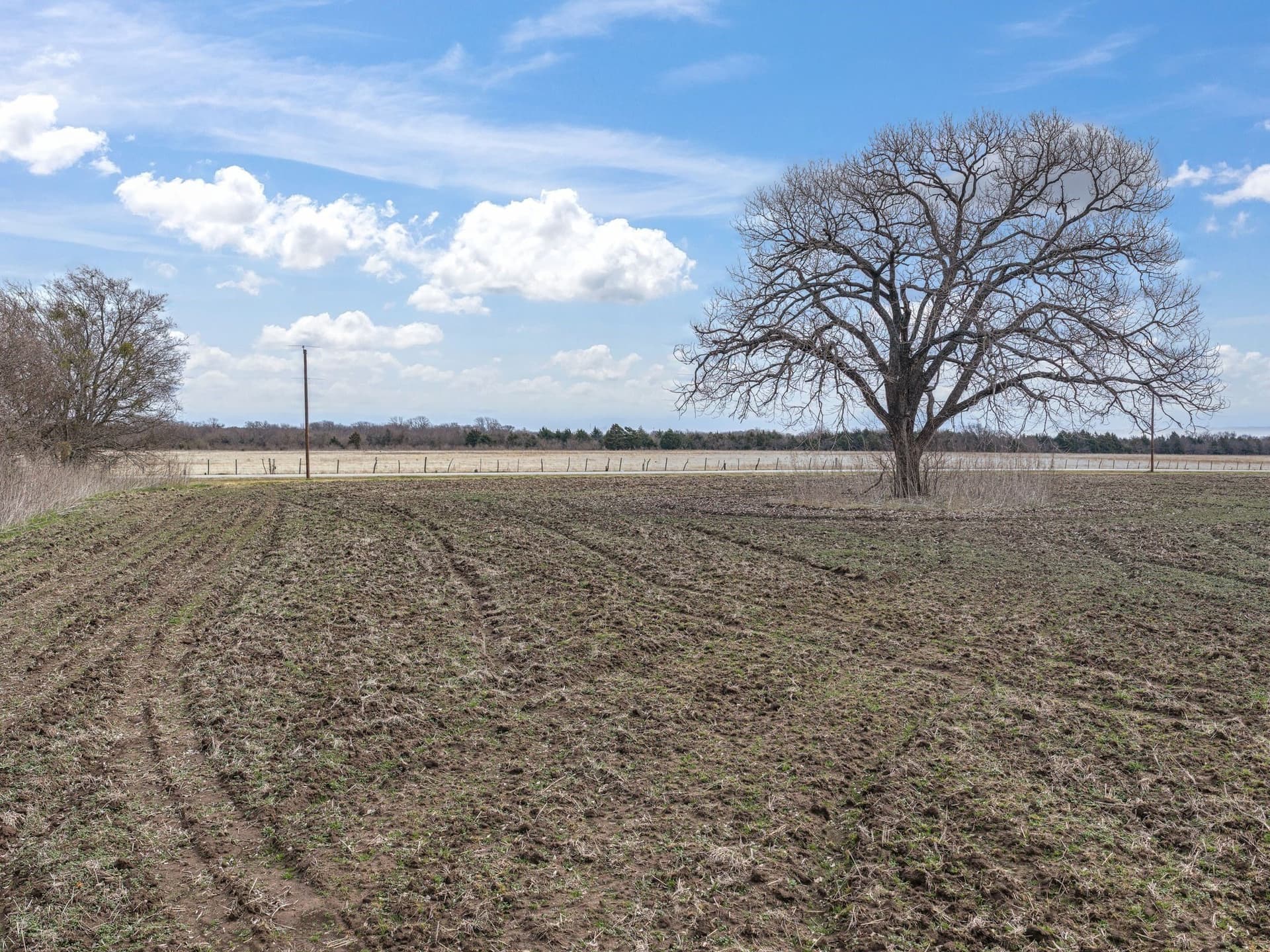 2 acres in Ellis County - photo 7