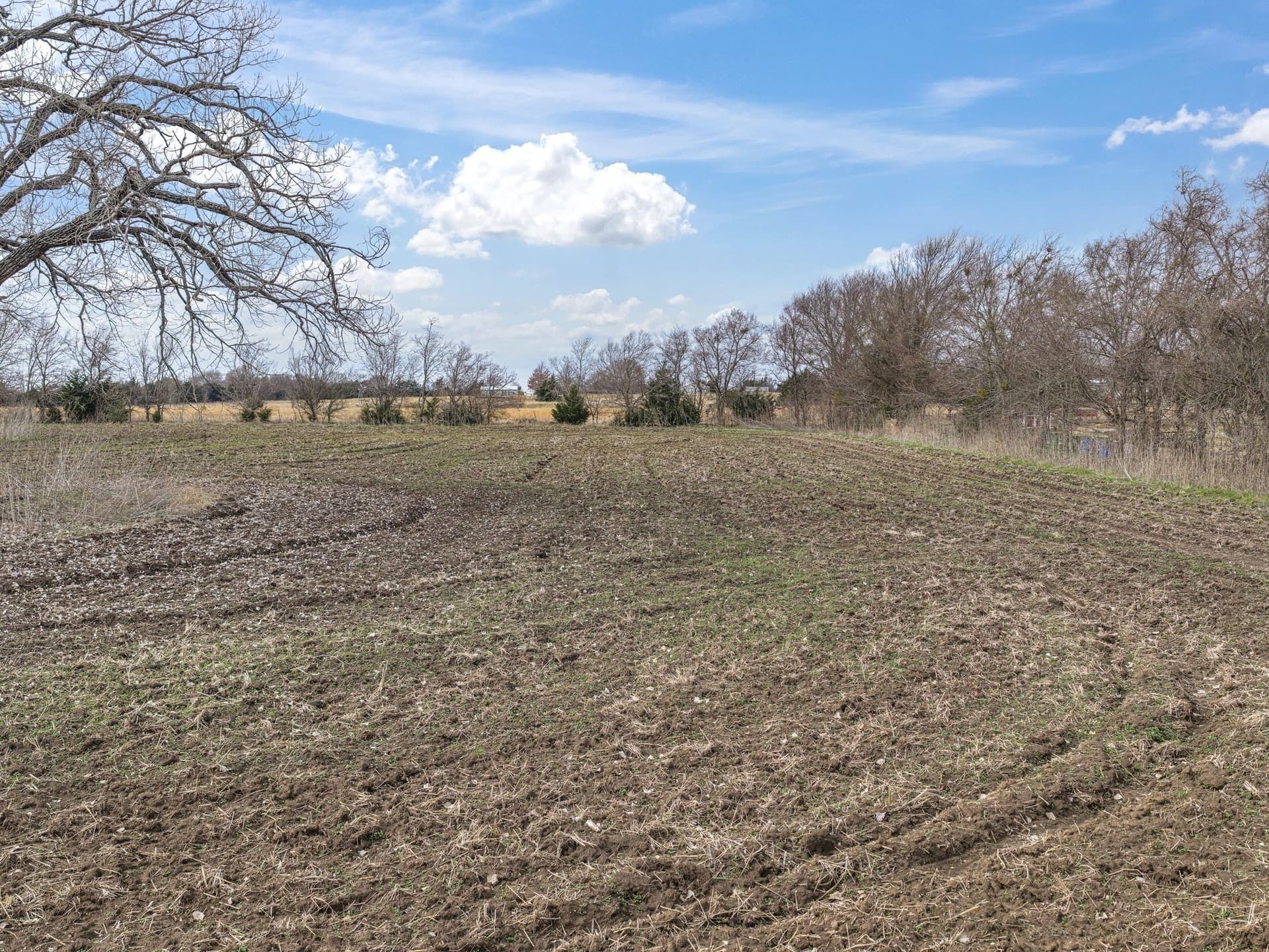2 acres in Ellis County - photo 9