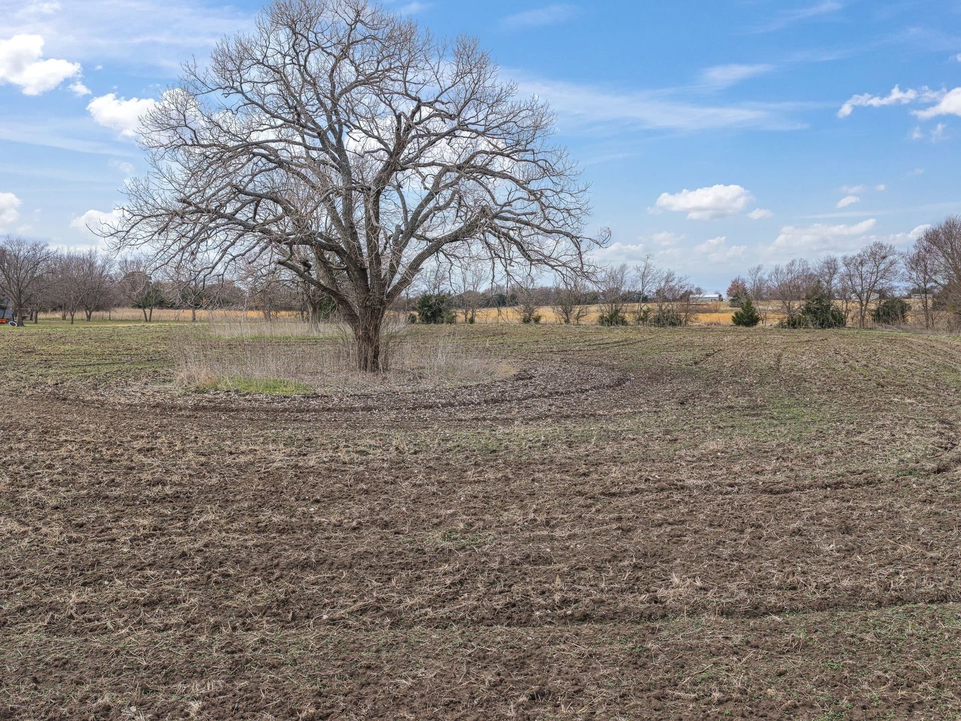 2 acres in Ellis County - photo 10
