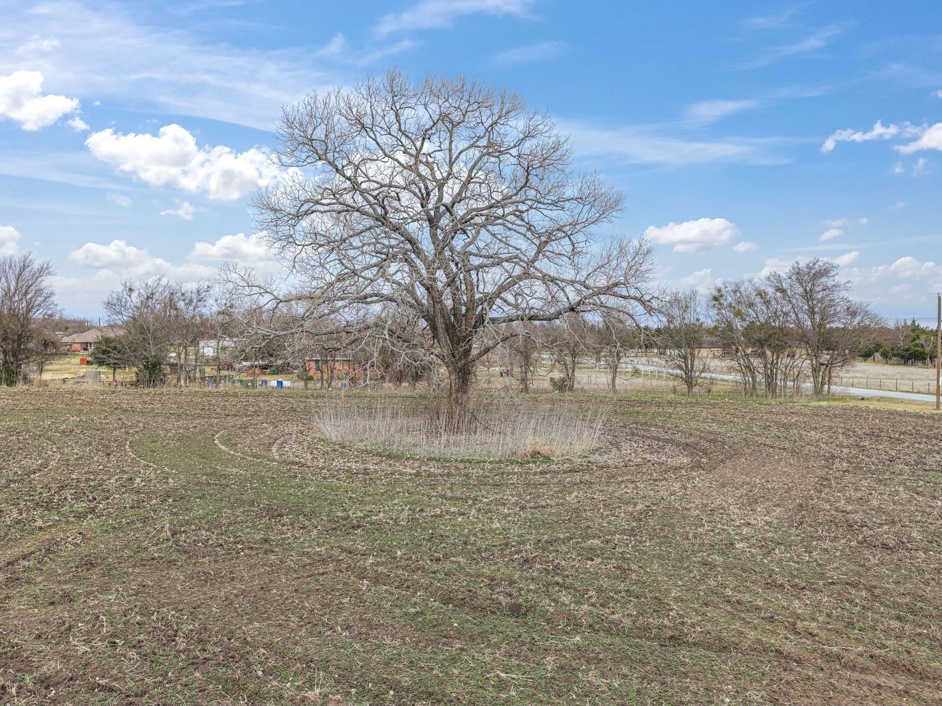2 acres in Ellis County gallery image 3