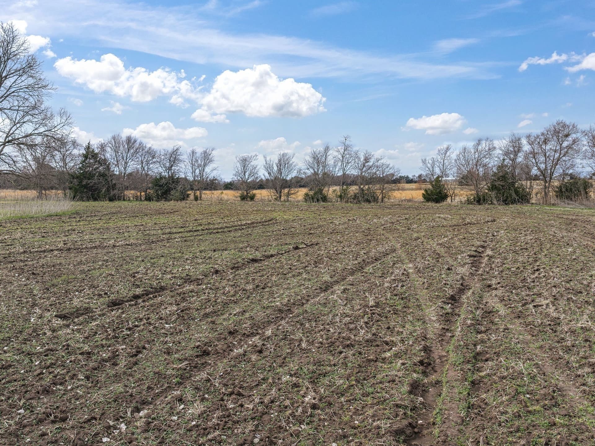 2 acres in Ellis County - photo 8