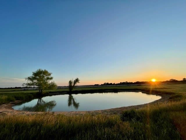 78.96 acres in Milam County - photo 15
