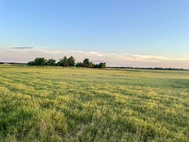78.96 acres in Milam County - photo 11