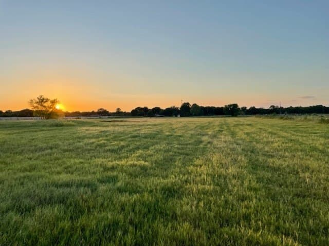 78.96 acres in Milam County - photo 12