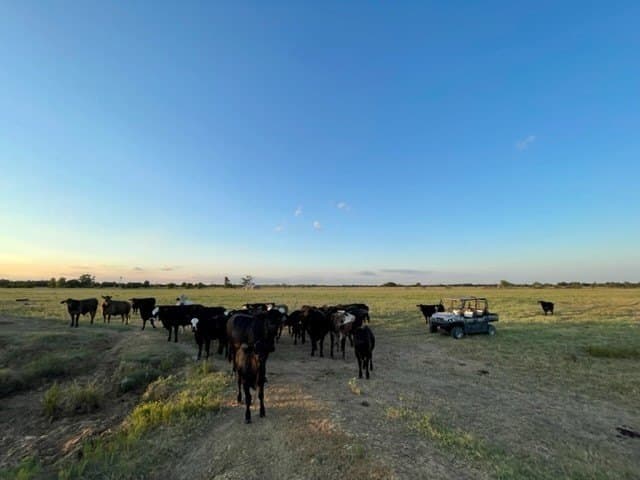 78.96 acres in Milam County - photo 9