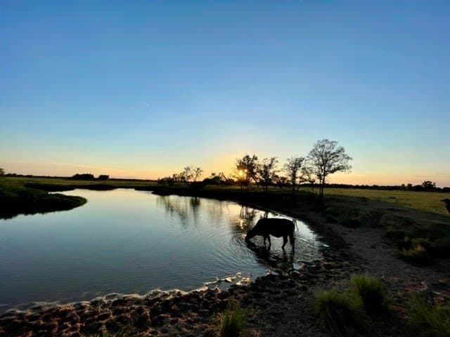78.96 acres in Milam County - photo 10