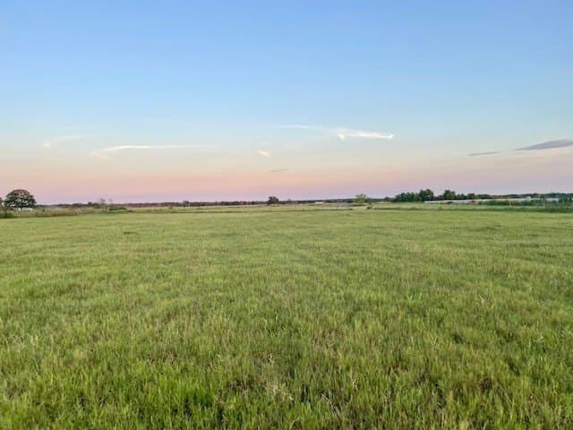 78.96 acres in Milam County - photo 14