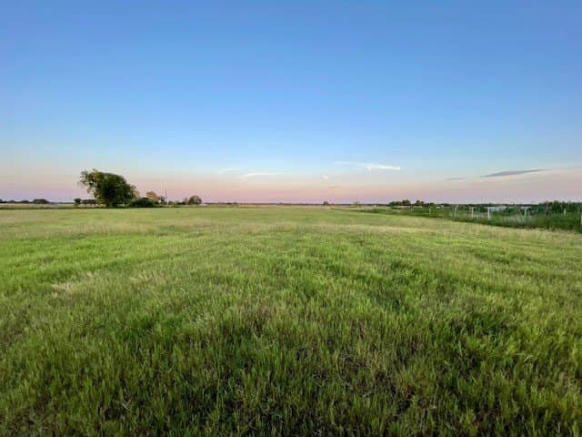 78.96 acres in Milam County - photo 13