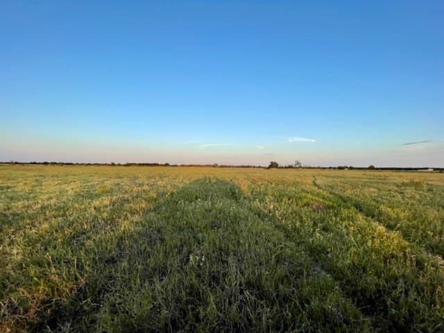 78.96 acres in Milam County - photo 8