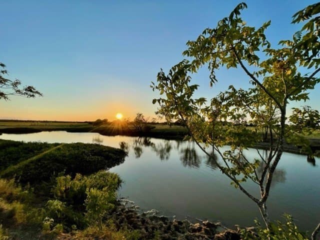 78.96 acres in Milam County - photo 2