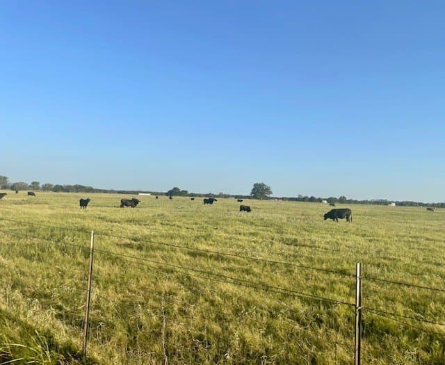 78.96 acres in Milam County - photo 4