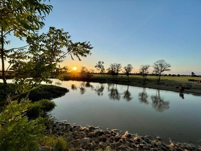 78.96 acres in Milam County