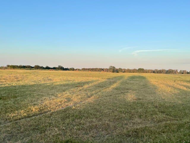 78.96 acres in Milam County - photo 5