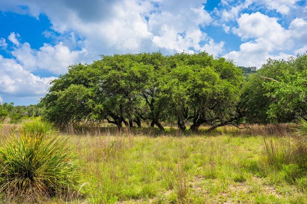 26.36 acres in Blanco County - photo 6