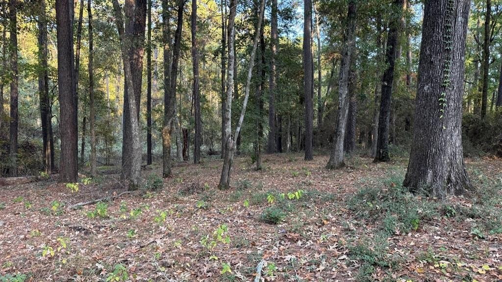 0.26 acres in Texas County - photo 6