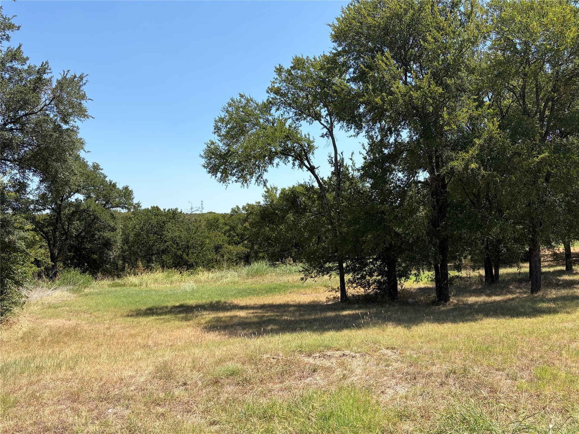 1.56 acres in Dallas County - photo 2