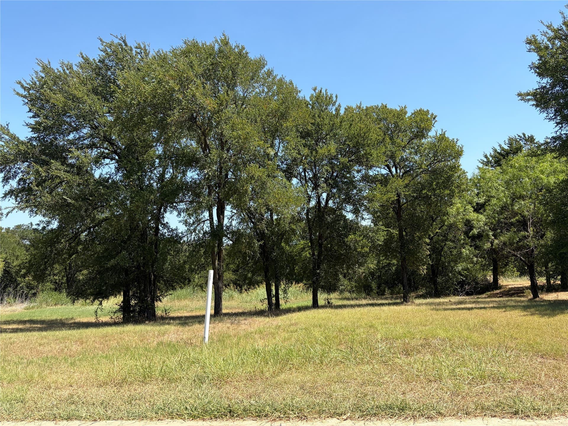 1.56 acres in Dallas County - photo 6