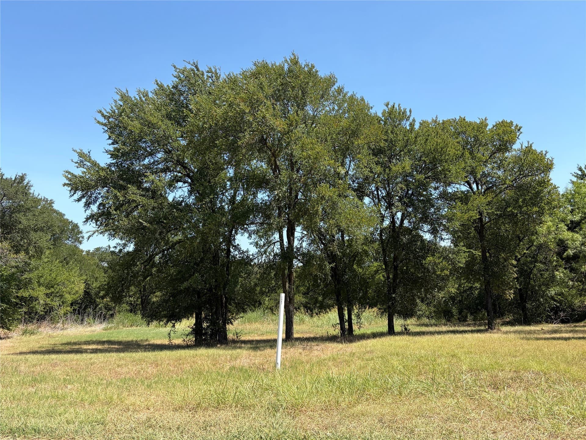 1.56 acres in Dallas County - photo 7